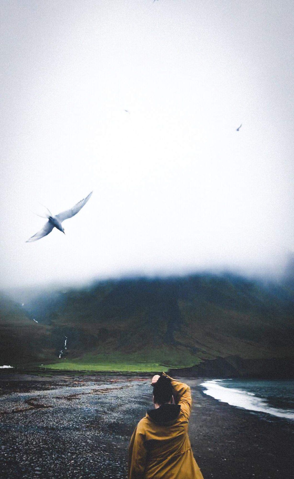 Person in yellow coat looking up at a flying bird, overcast sky over a dark beach and mountains.