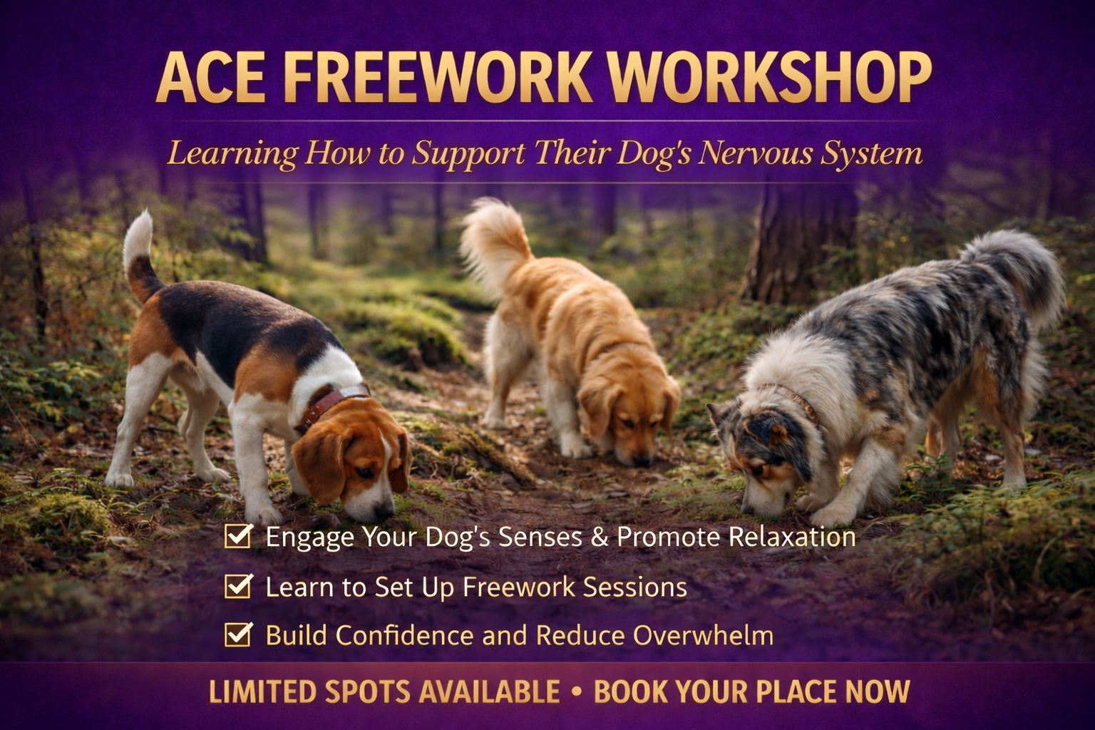 dog training ace freework