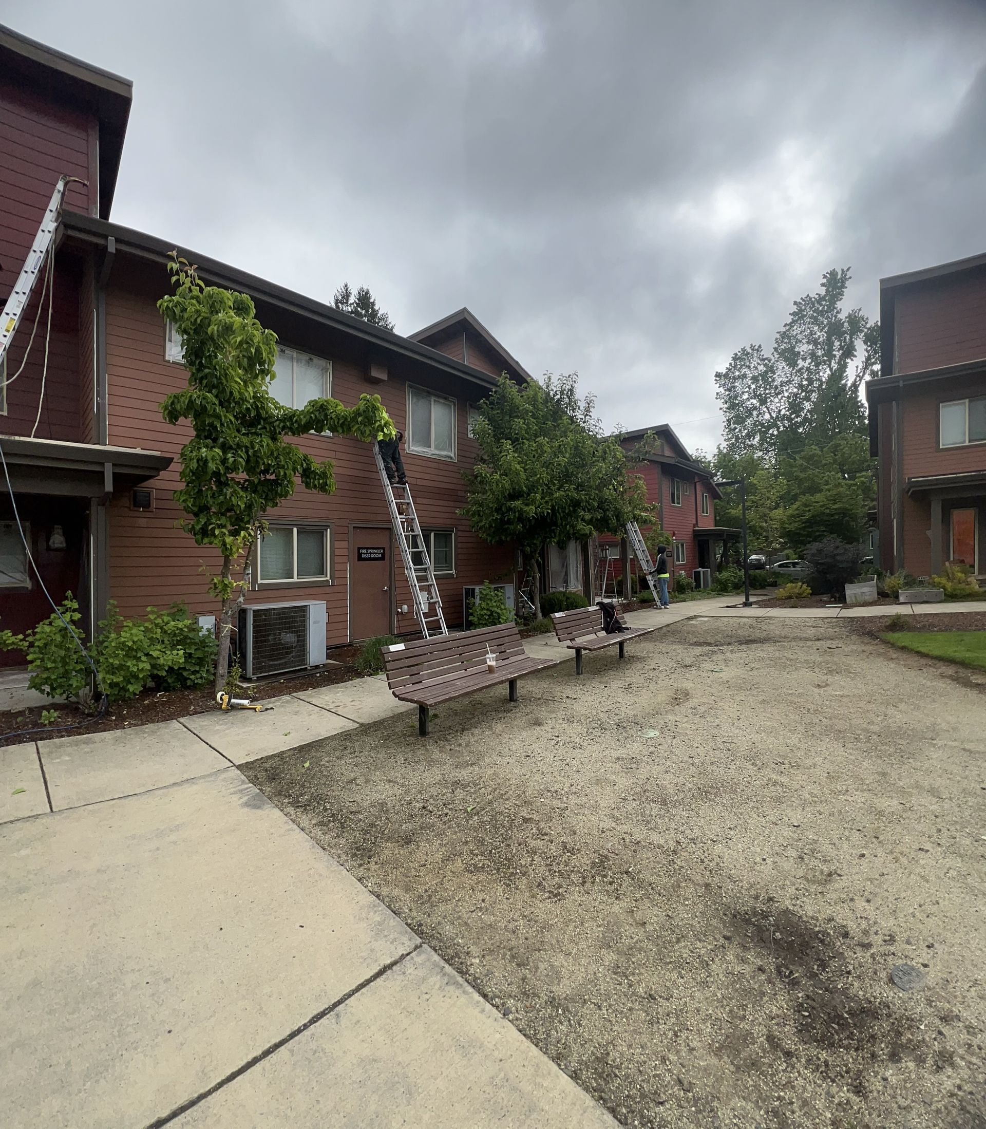 A row of brick houses with a ladder on the side of one of them.