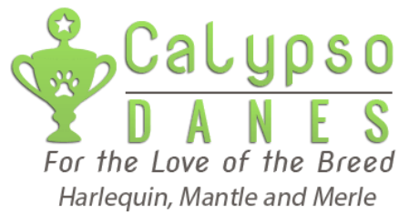 Calypso Danes logo