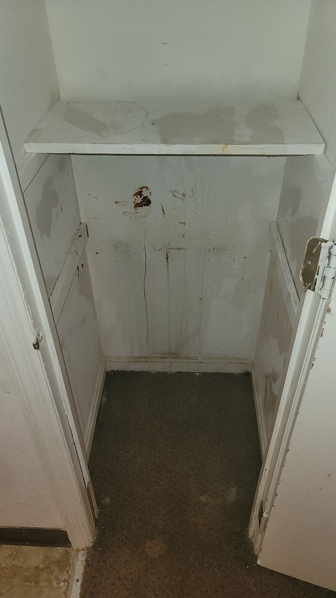 An empty closet with a shelf and a door.