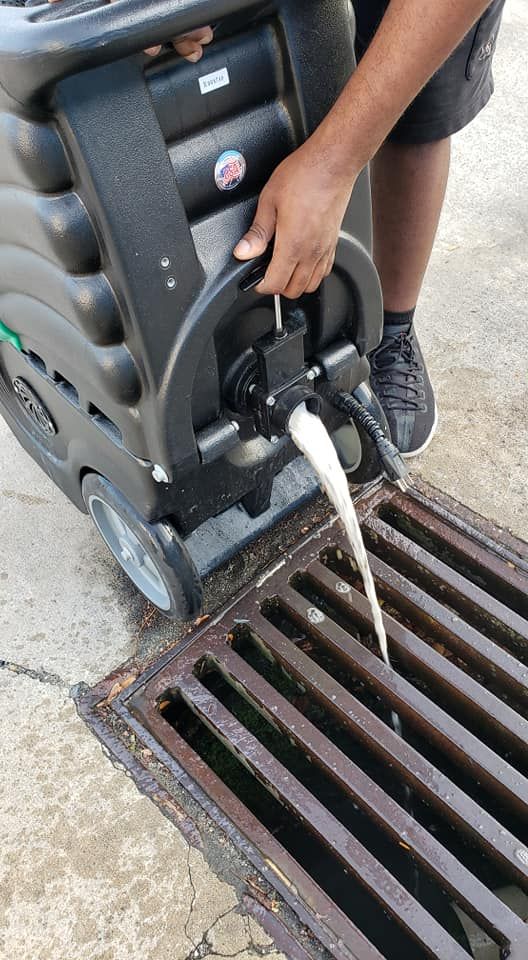 All the liquid dirt from vacuum