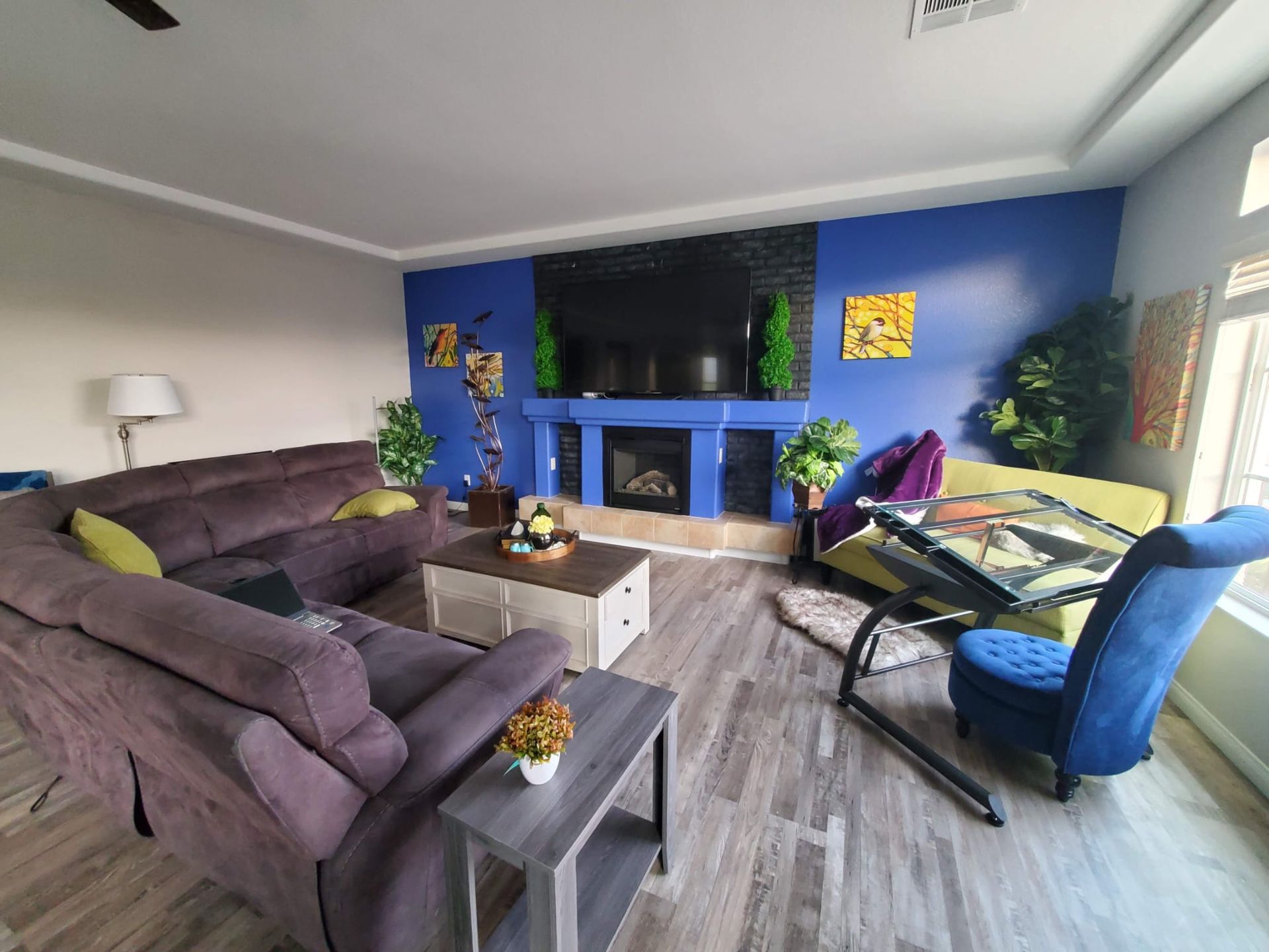 Blue wall living room 