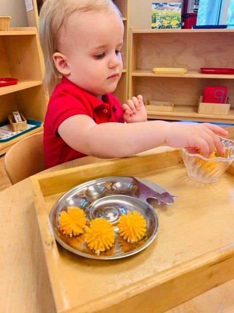 Kid Playing Toys — Omaha, NE — Montessori Academy Of West Omaha