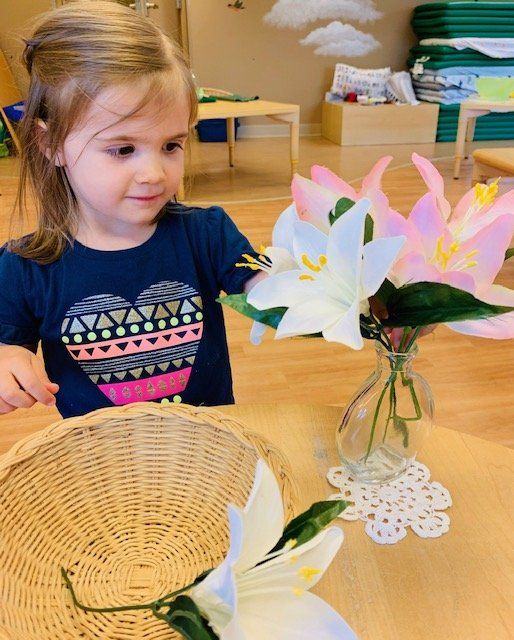A Cute Little Girl Amazed In Flowers — Omaha, NE — Montessori Academy Of West Omaha