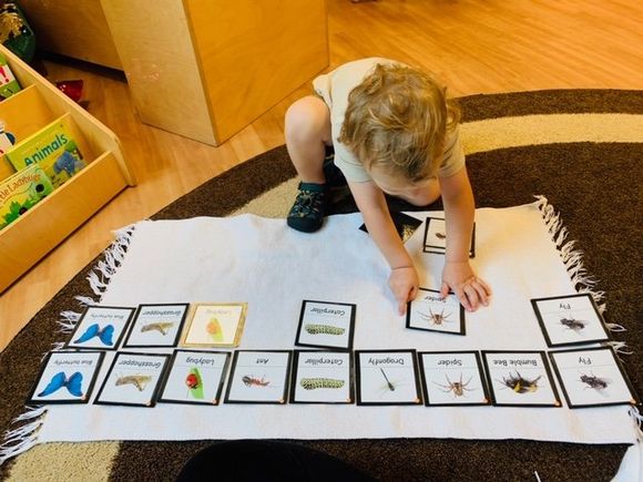 A Toddlers Playing Puzzle — Omaha, NE — Montessori Academy Of West Omaha