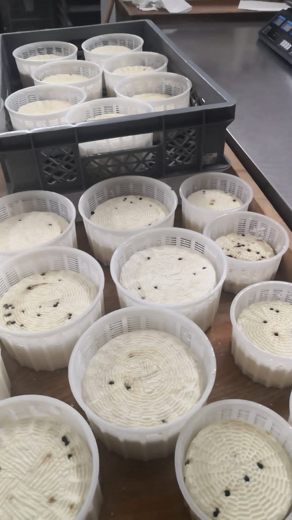 ricotte di produzione propria