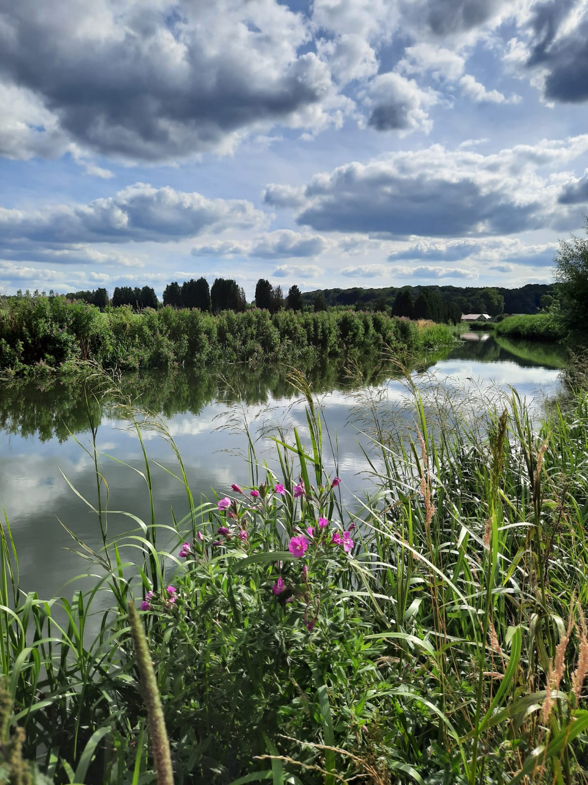 Grift of Valleikanaal Wageningen Binnenveld
