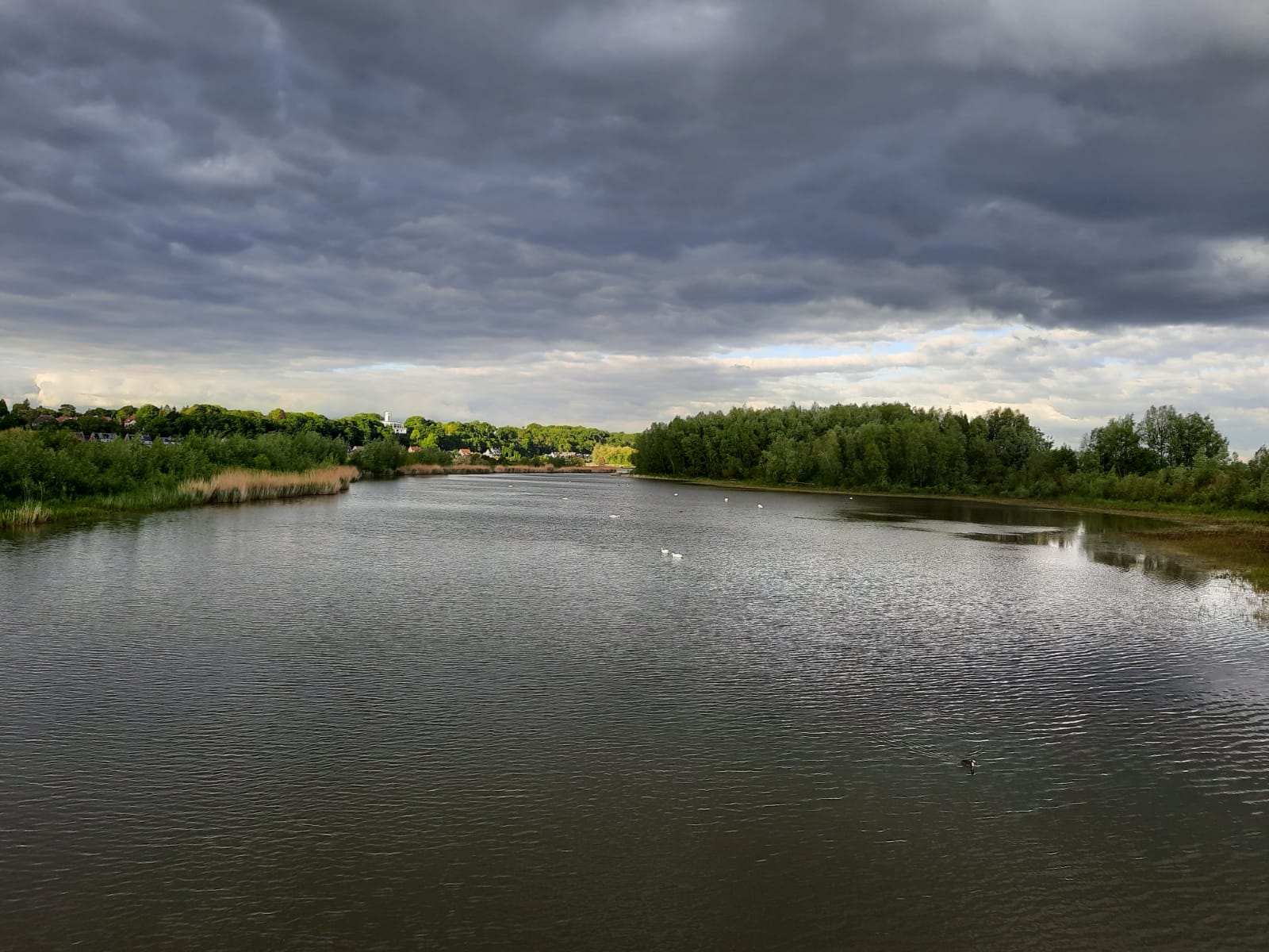 Wageningen Bovenpolder Nevengeul Rijn