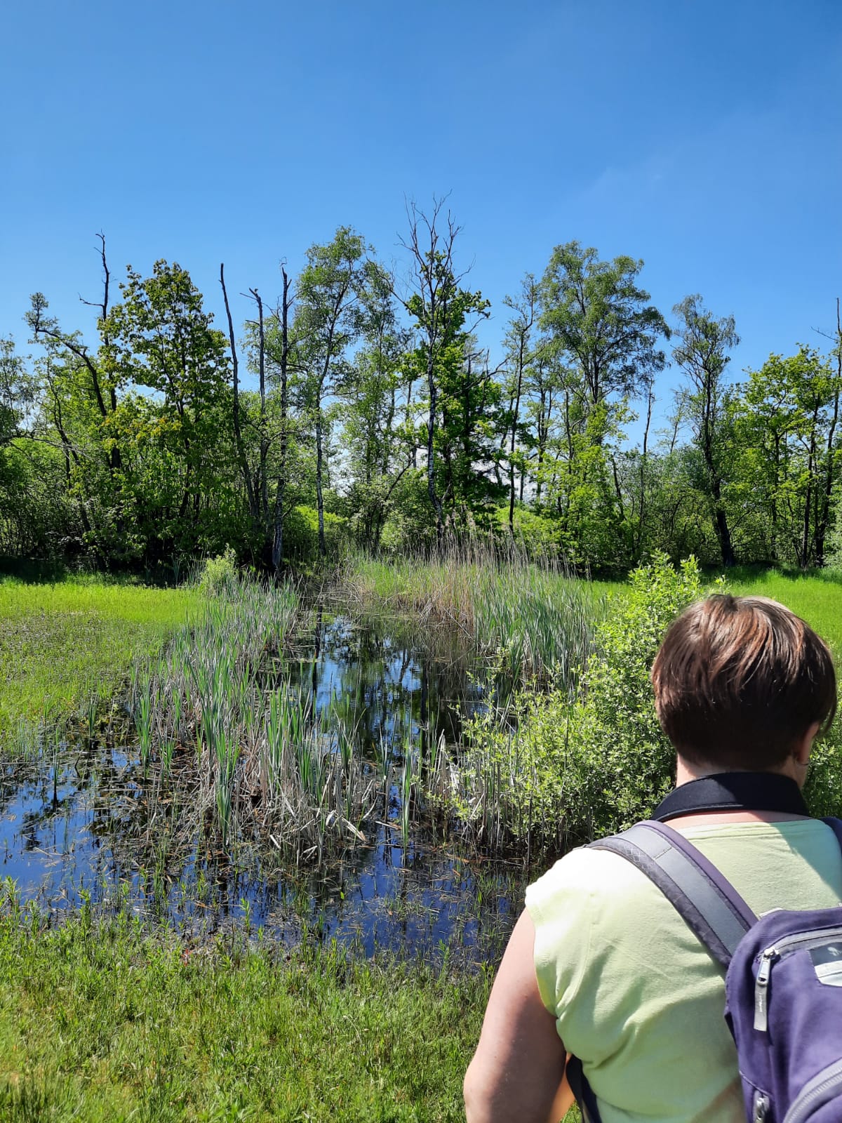 Natuurwandelingen Achterhoek