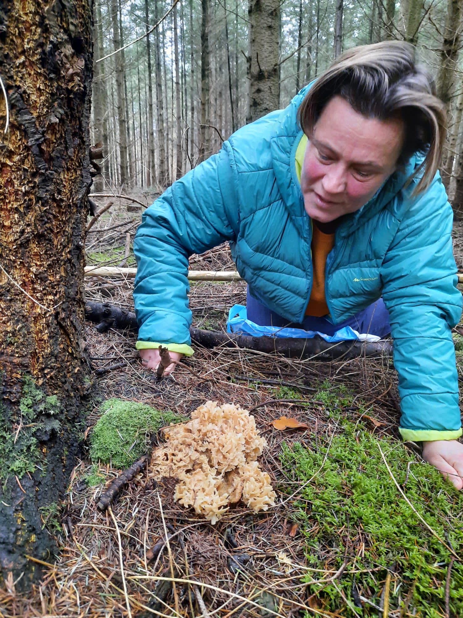 Schimmels en Paddenstoelen