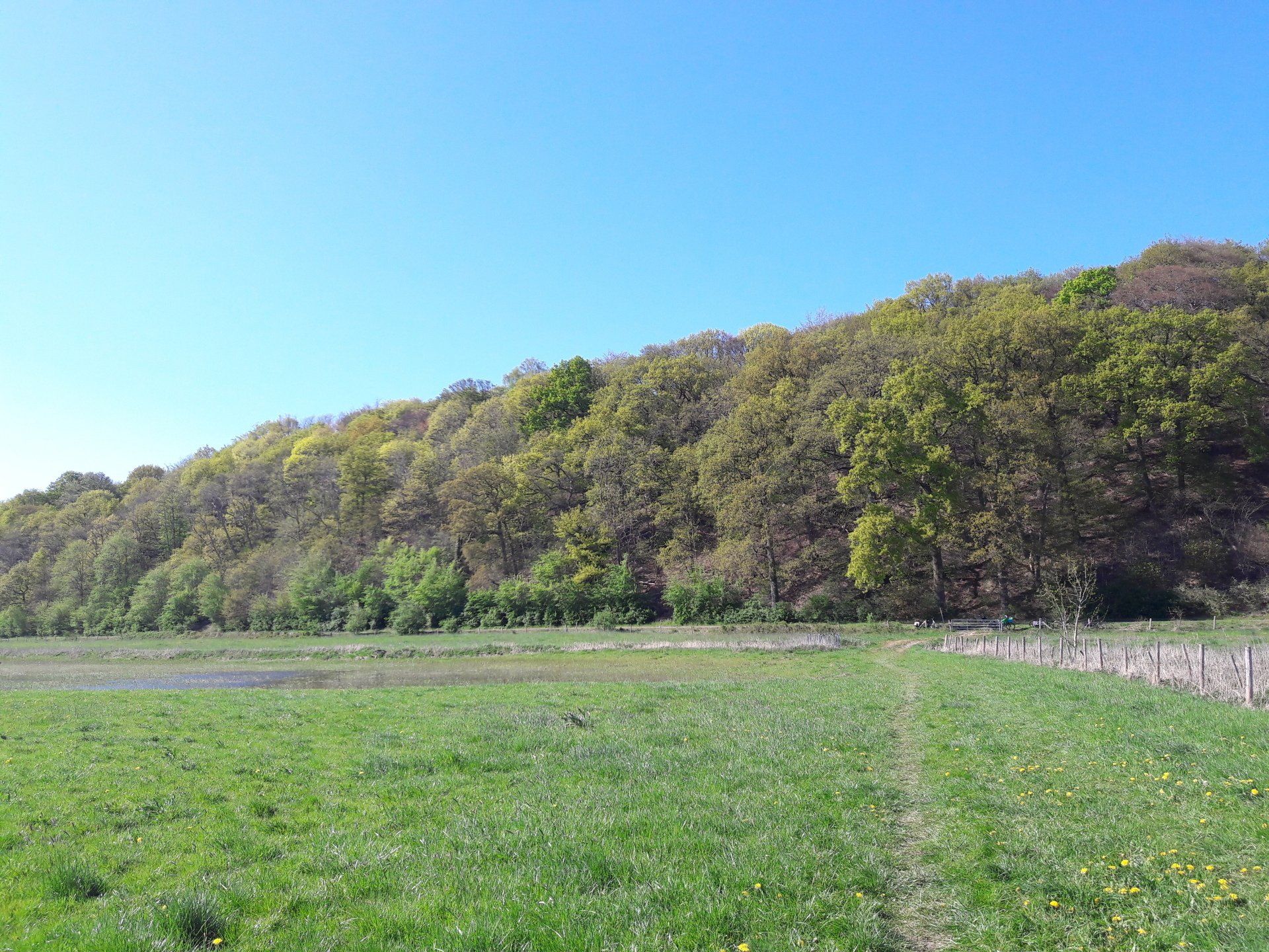 De Wageningse Berg grafheuvels