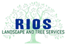 Logo: "RIOS" in blue text, beneath light green tree outline, with "LANDSCAPE AND TREE SERVICES" below.