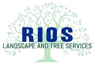 Logo: "RIOS" in blue text, beneath light green tree outline, with "LANDSCAPE AND TREE SERVICES" below.
