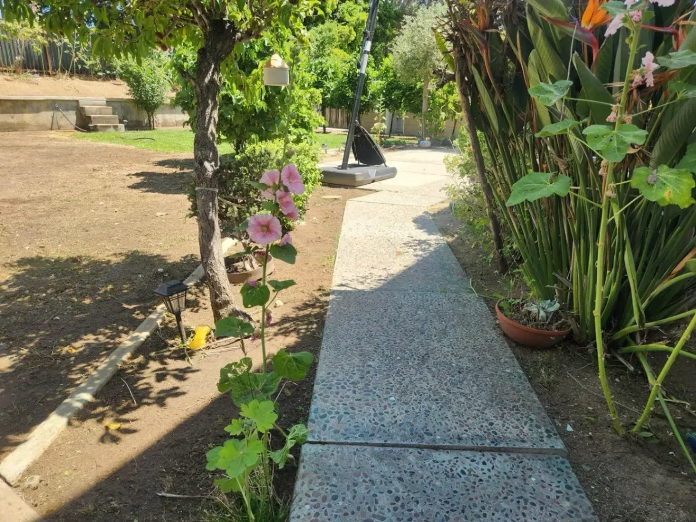 A stone pathway bordered by greenery and pink flowers, leading into a garden with trees.