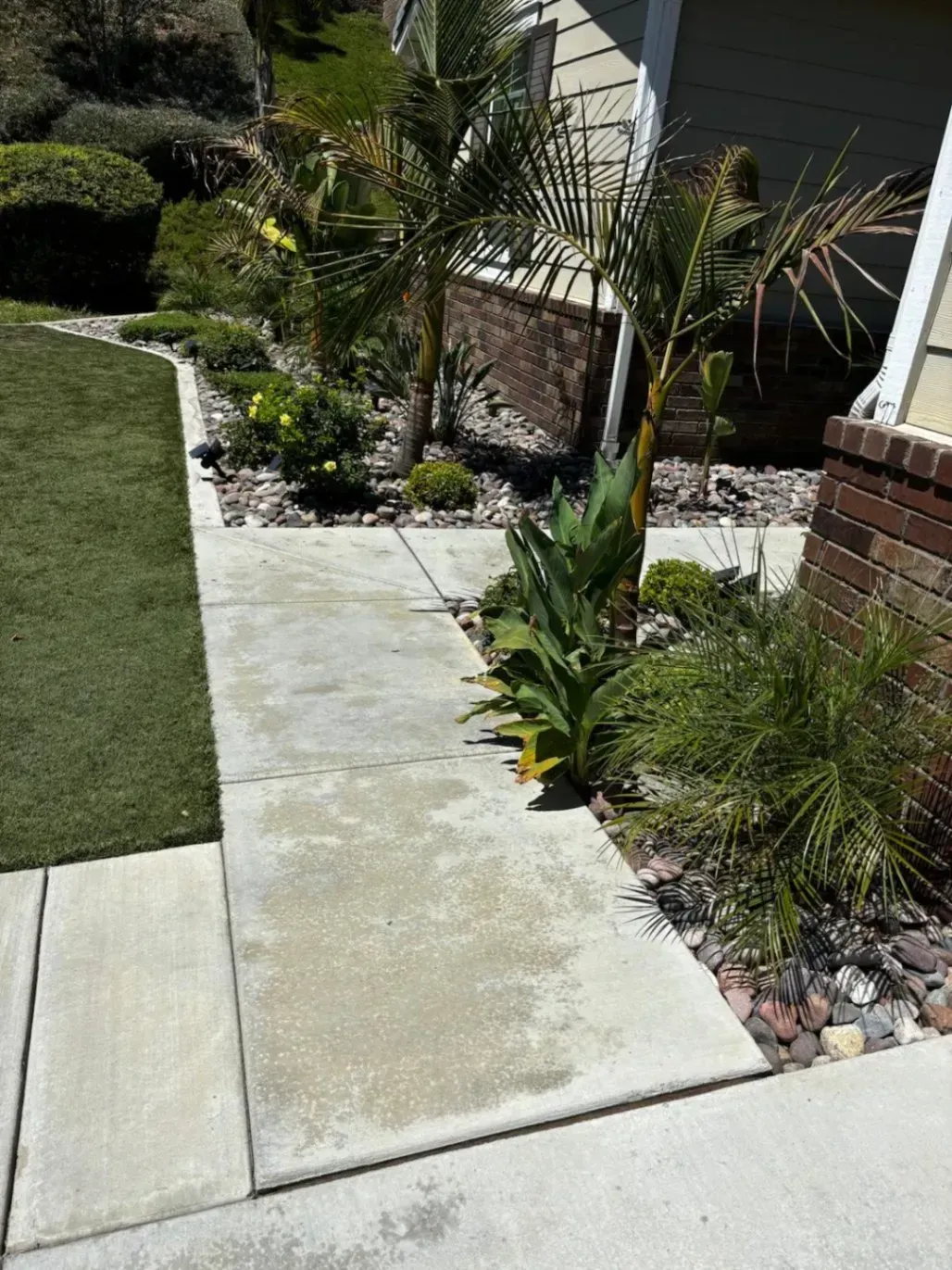 Concrete walkway beside a landscaped yard with grass, plants, and small palm trees.