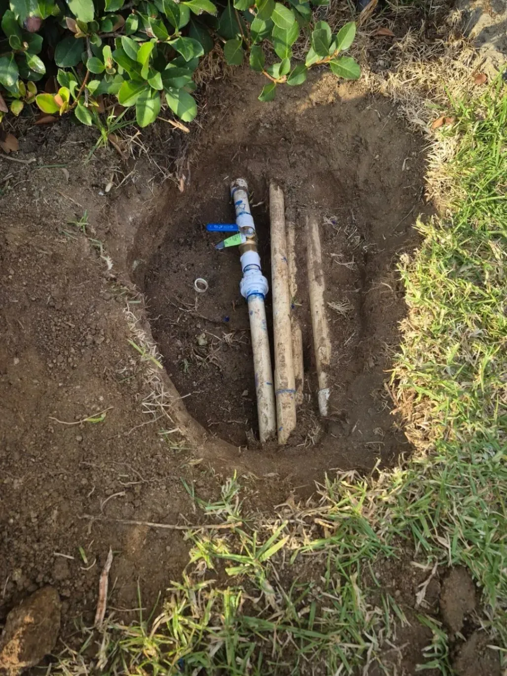 A pipe with blue and green valves in a dirt hole near grass and foliage.
