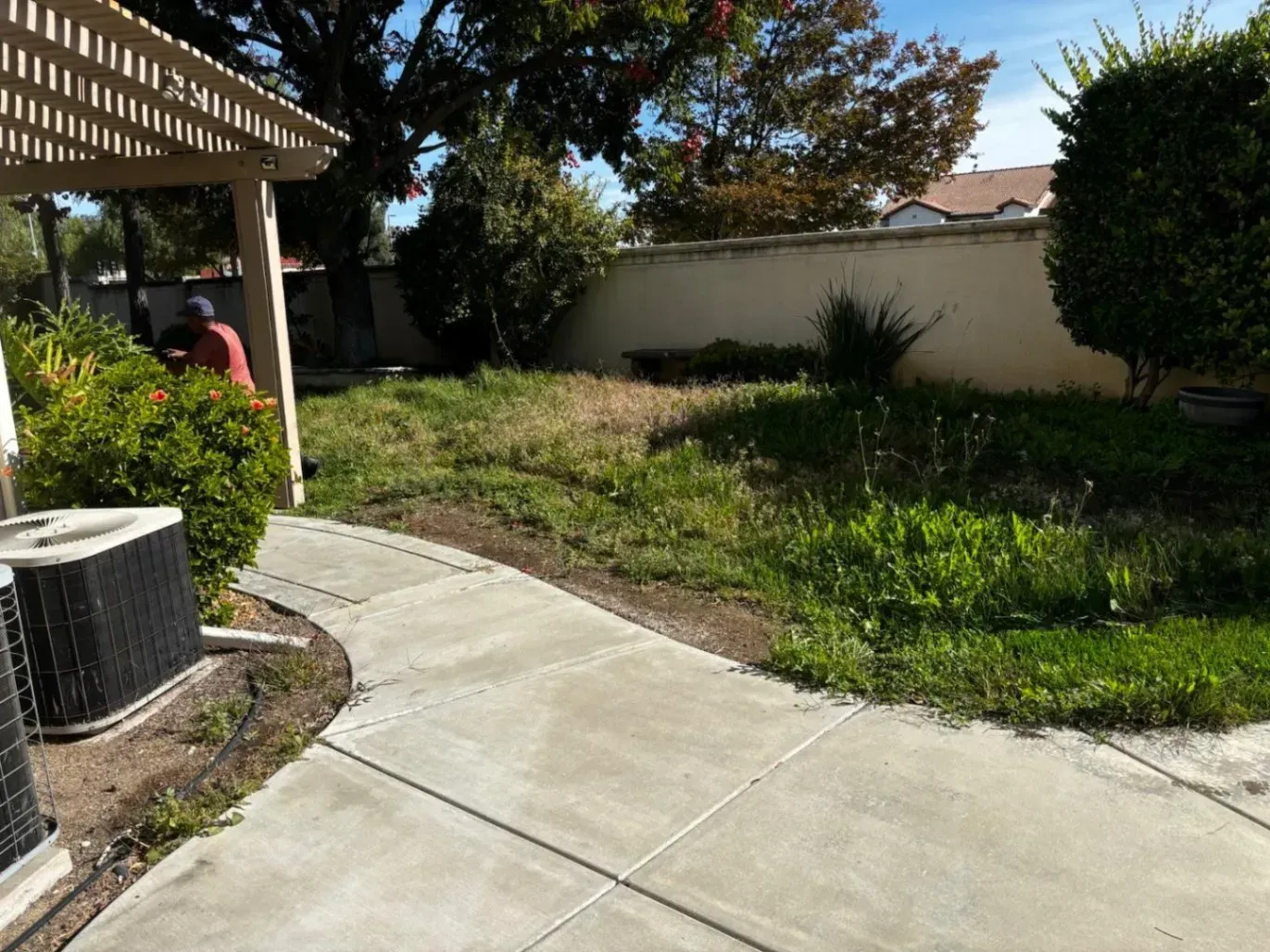Concrete walkway leads to a backyard with overgrown grass and a weathered patio cover.