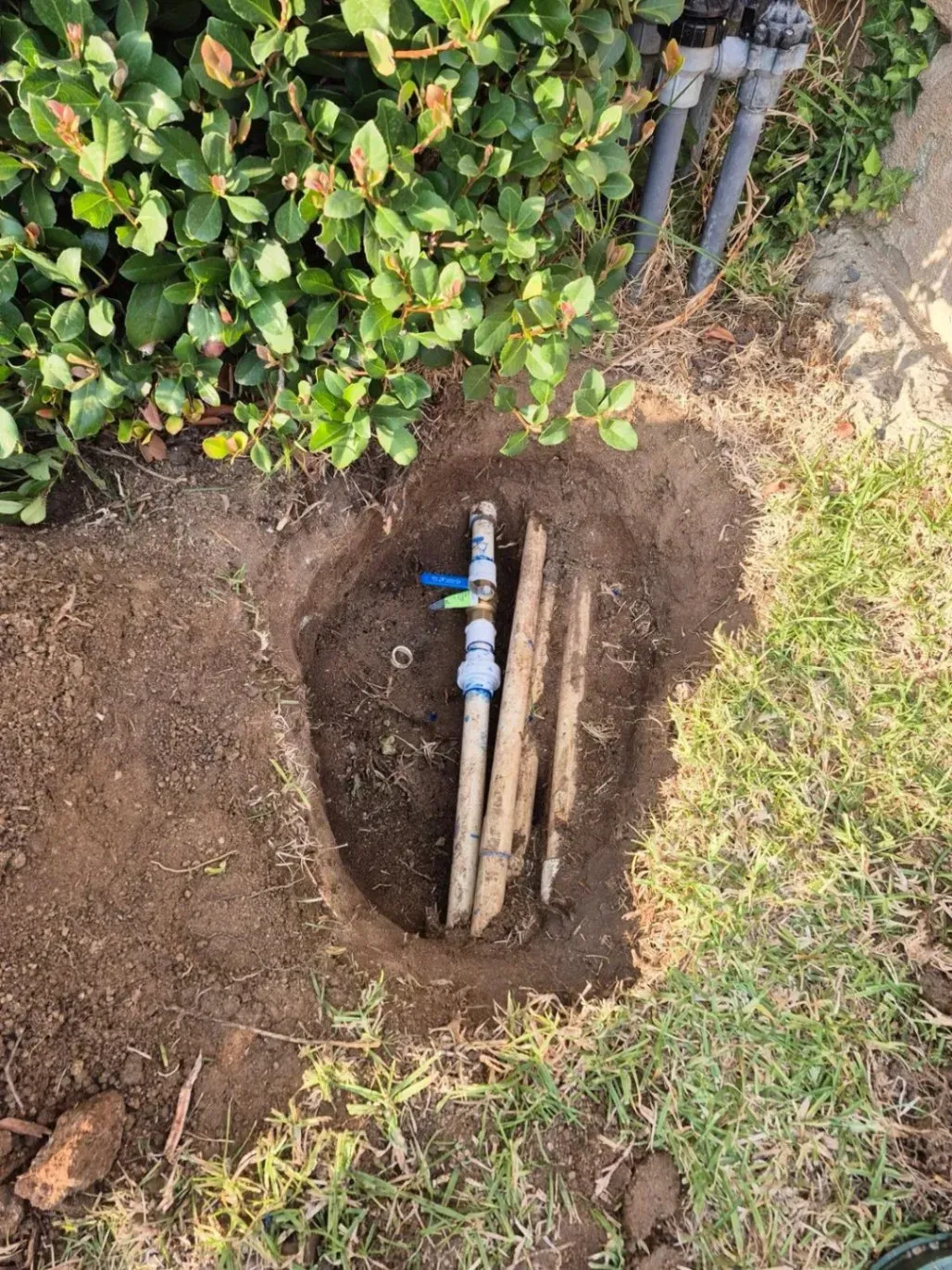 A hole in the ground reveals irrigation pipes, a valve, and some wood near green grass and a bush.