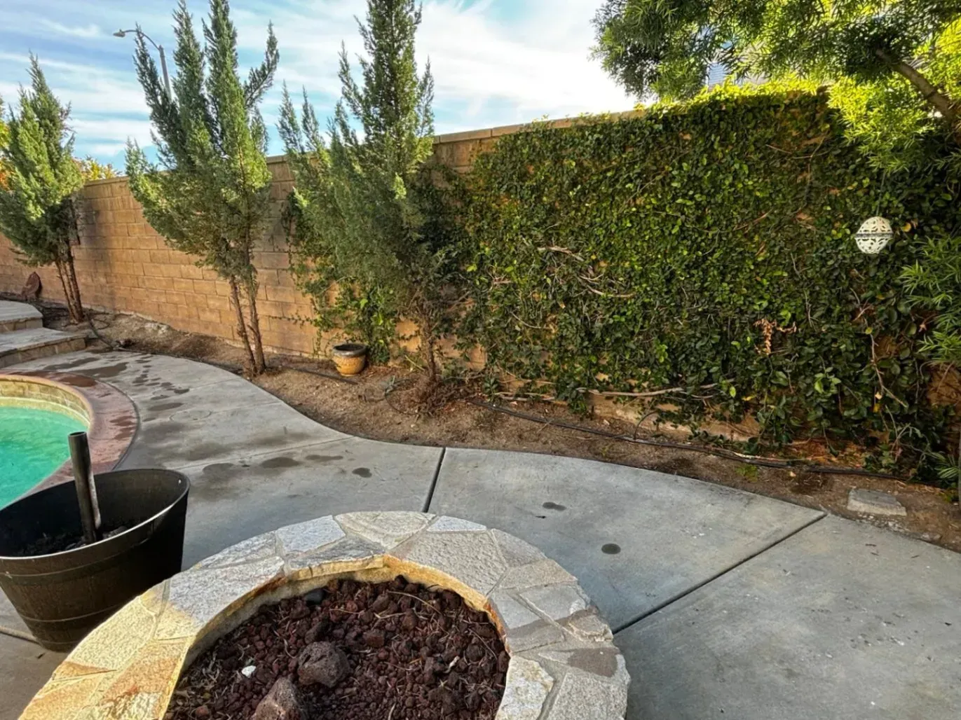 Backyard with a stone fire pit, pool, and a wall covered in ivy.