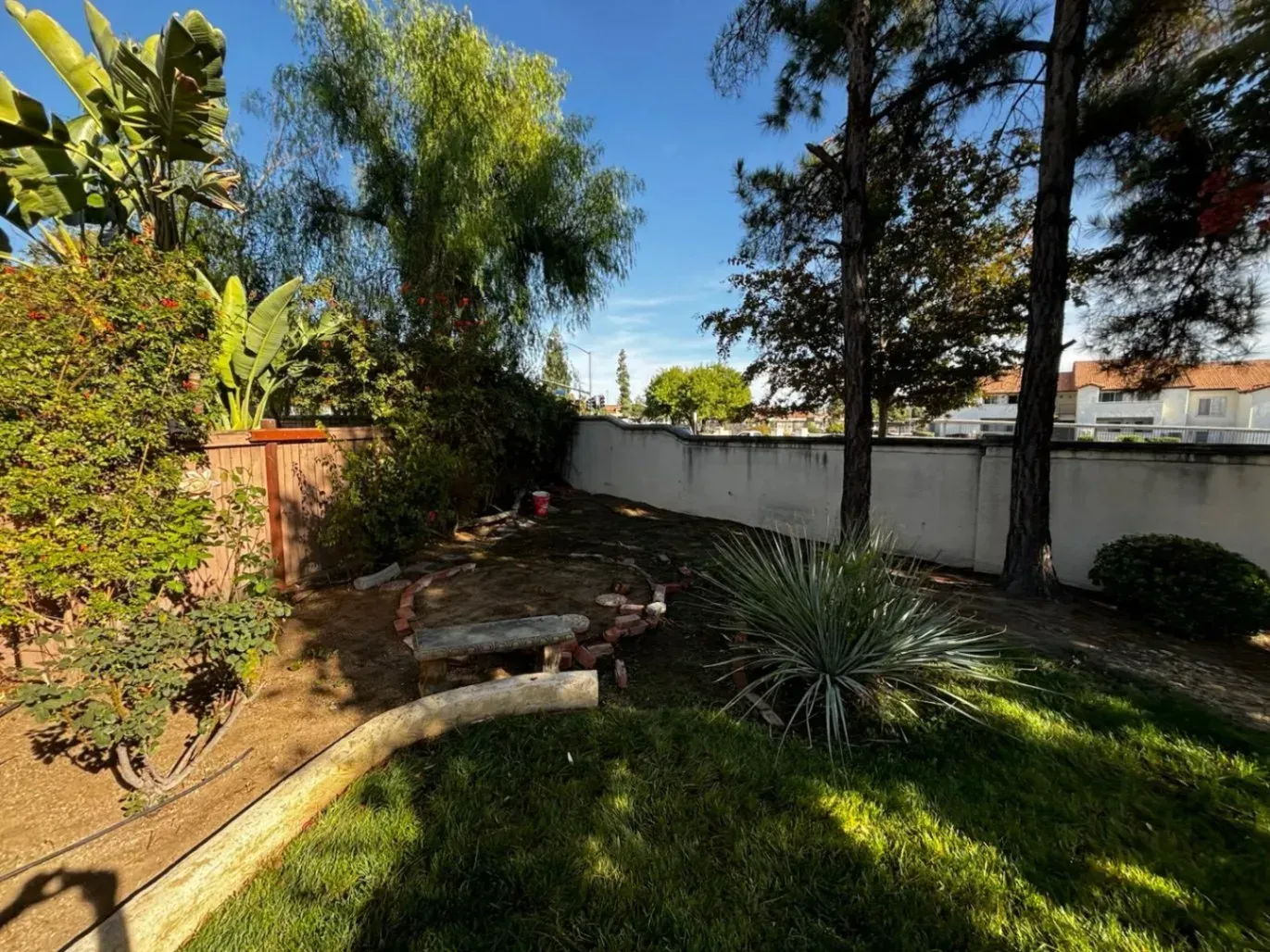 Backyard with green grass, trees, and a concrete wall under a blue sky.