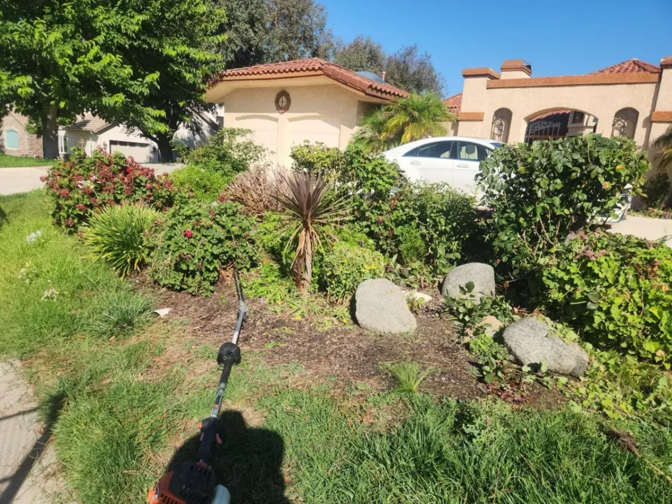 Person using a weed wacker near a landscaped front yard with bushes, rocks, and a car in the driveway.