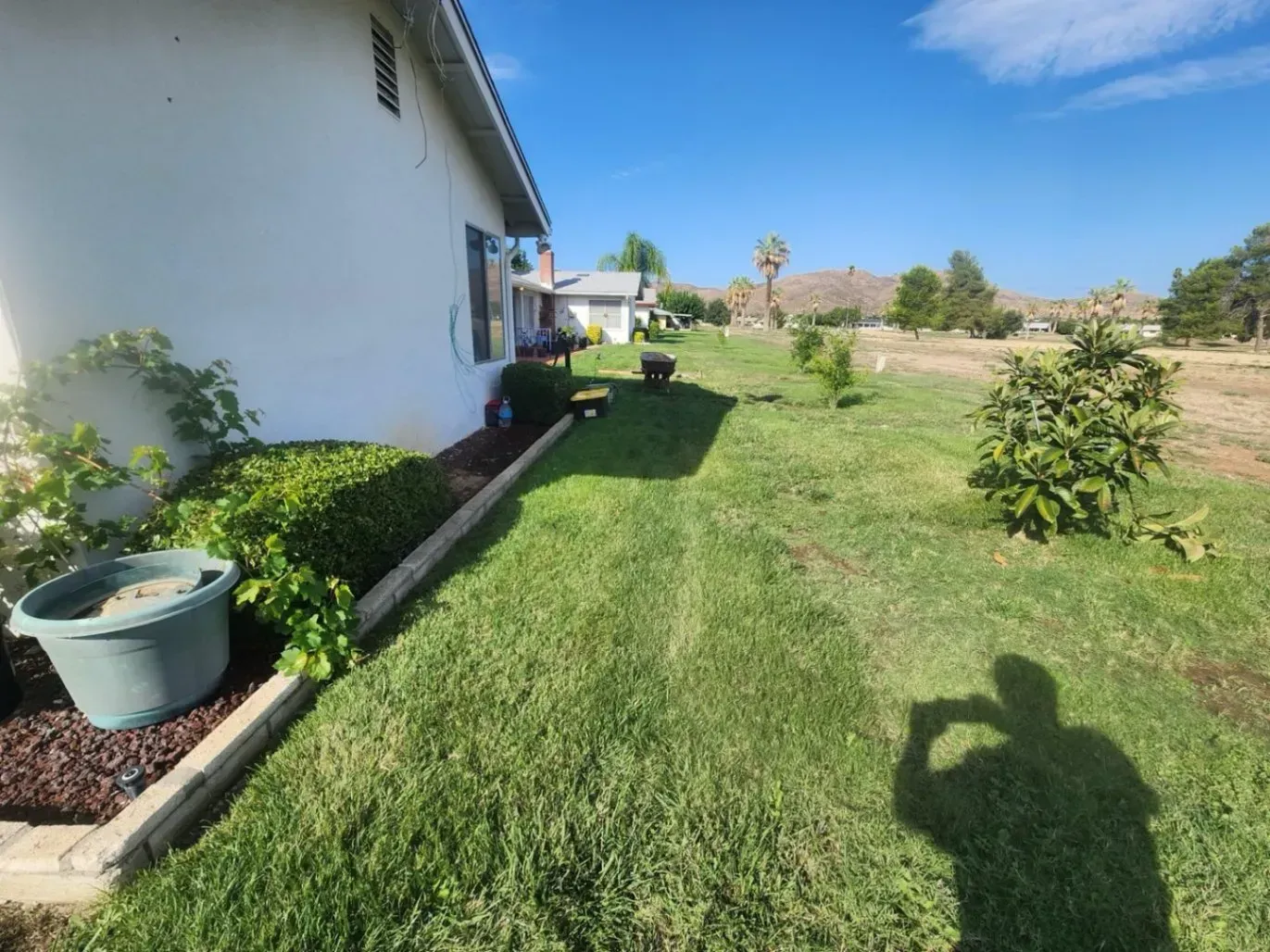 Green lawn next to a white house, with trees and shrubs under a blue sky; a shadow is visible.