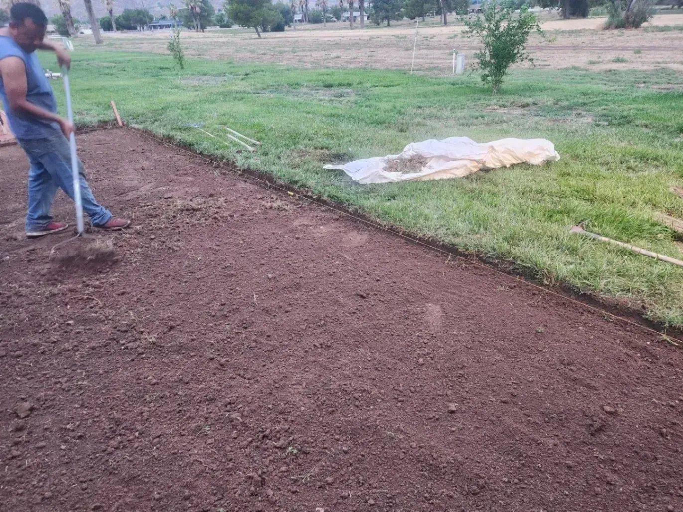 Man leveling soil in a garden bed. Brown soil contrasts with green grass.