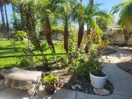 Stone bench in garden with palm trees and a paved walkway.