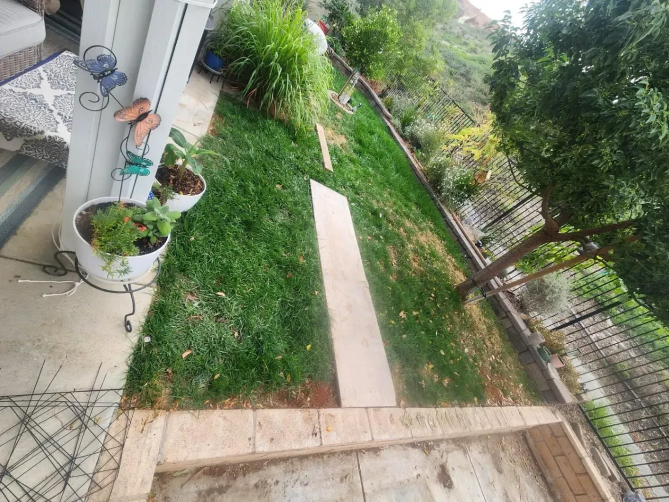 Green lawn with a concrete pathway leading uphill next to a fence and a few plants in pots.