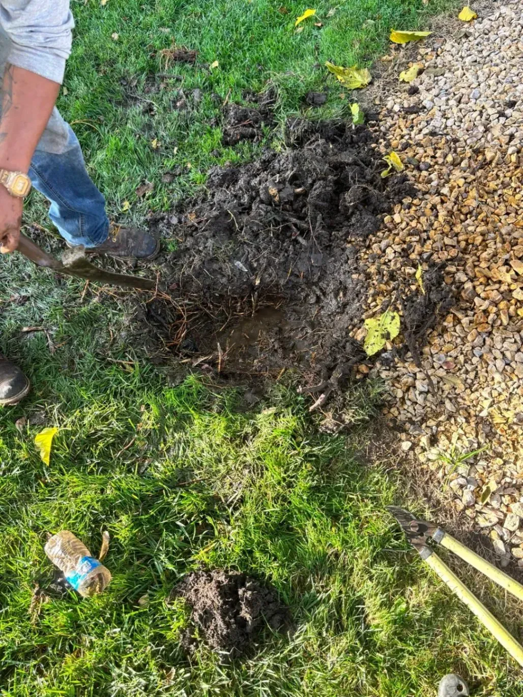 Person digging in yard near gravel. Dirt and grass visible.