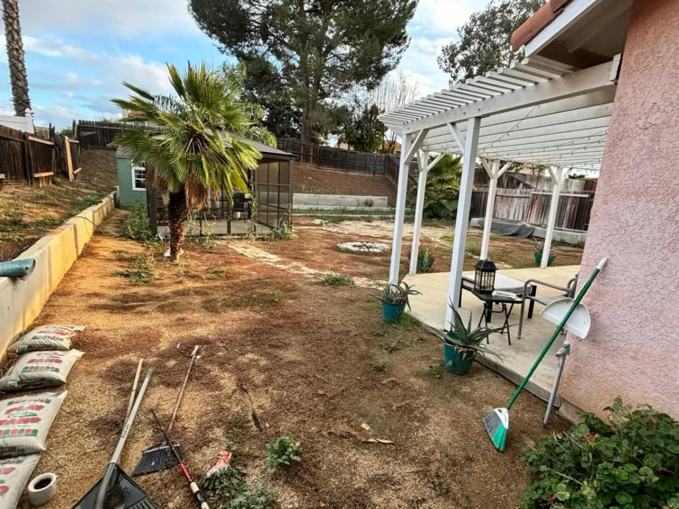 Backyard with brown yard, pergola, palm tree, and gardening tools.