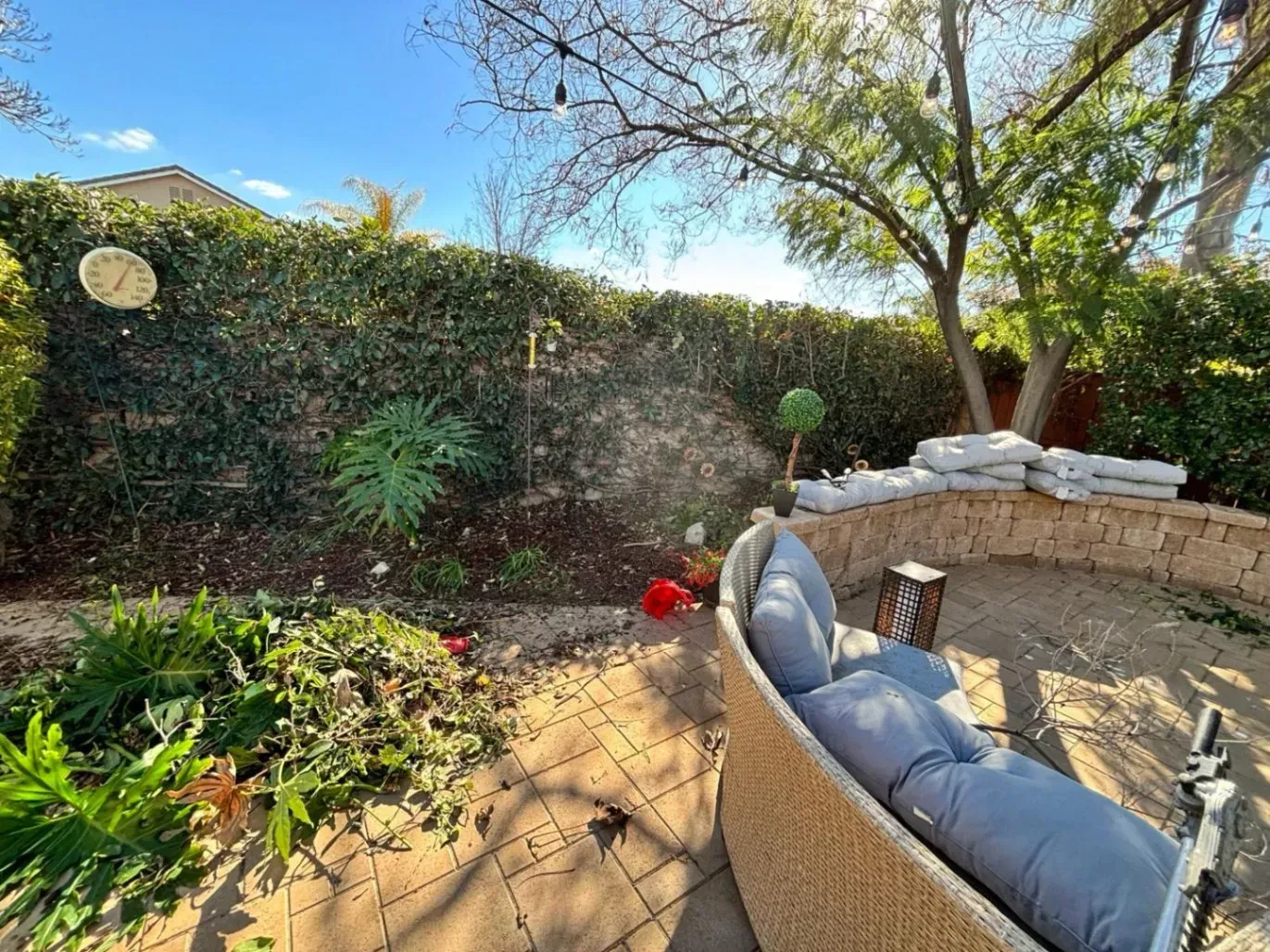 Backyard patio with cushioned seating, brick path, and ivy-covered wall.