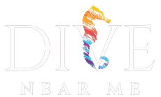 Dive Near Me Wollongong