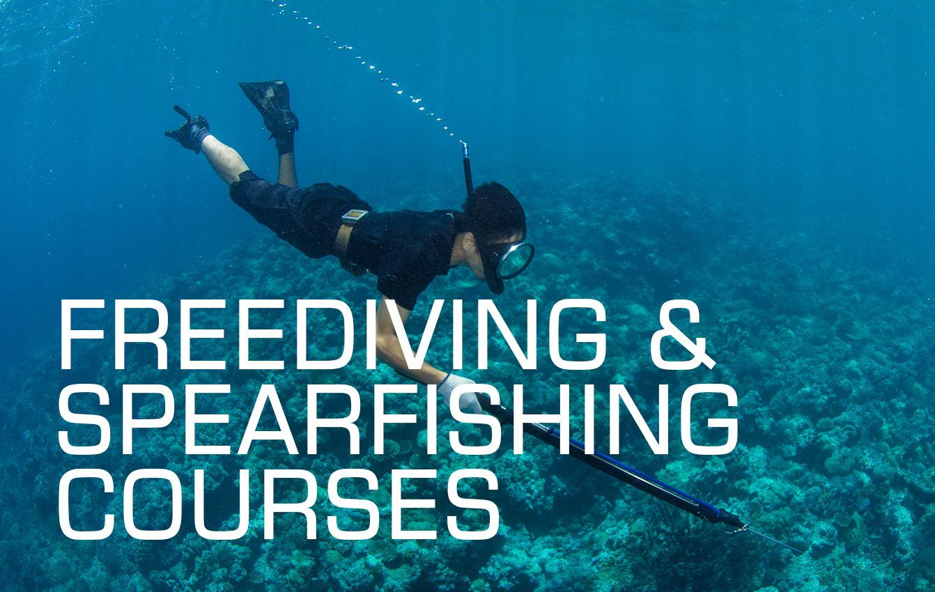 Freediving & Spearfishing