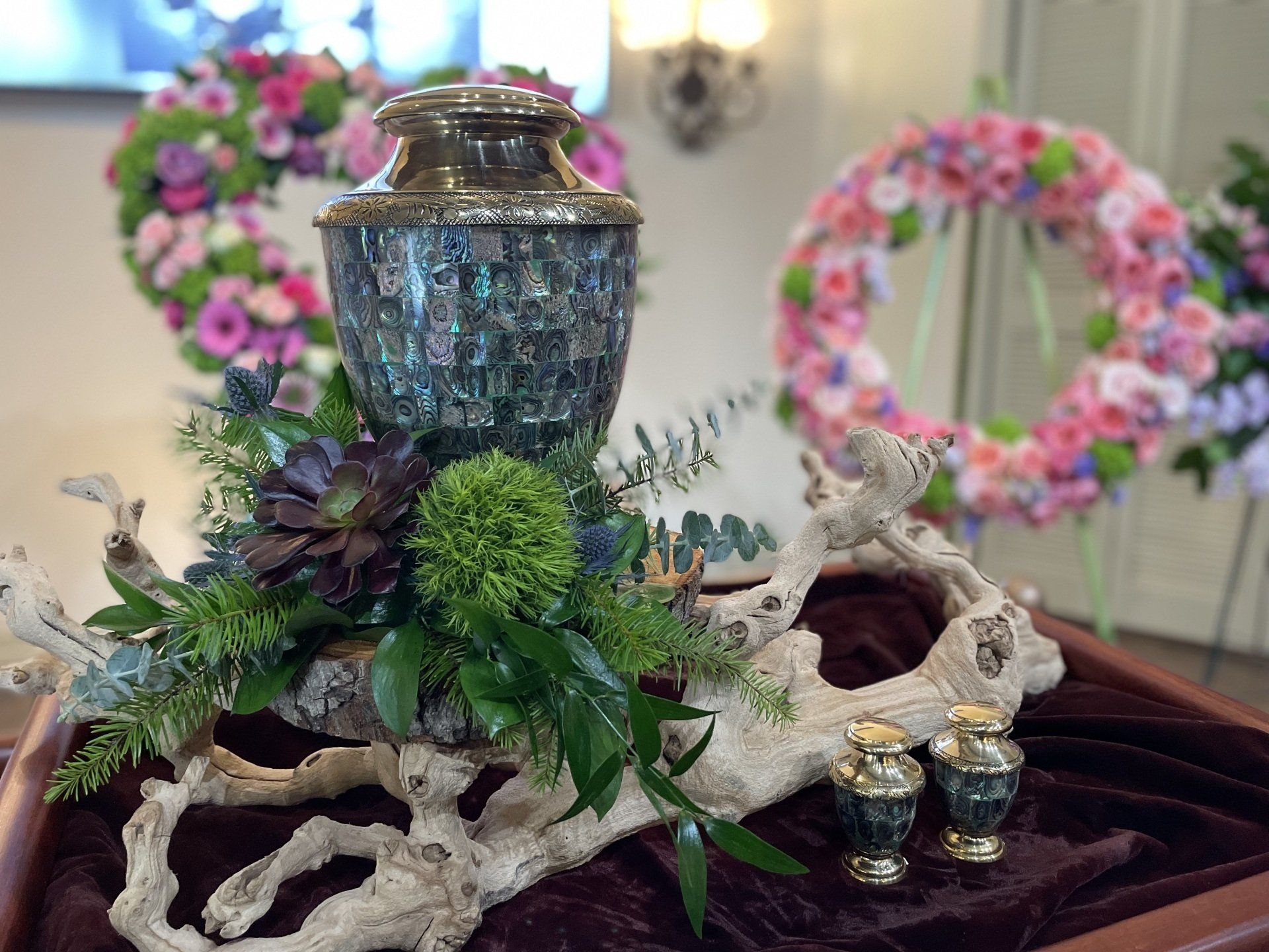 Terra Sue Gooch Schlinger's photos