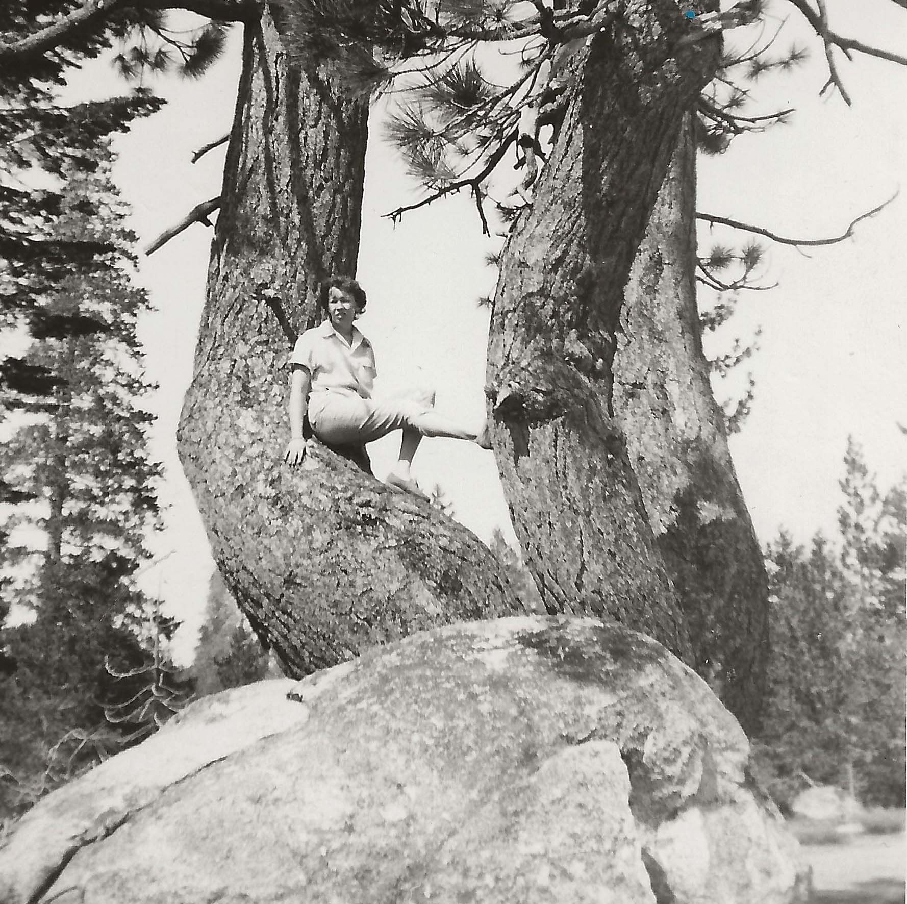 Donna Rae Mauro photos