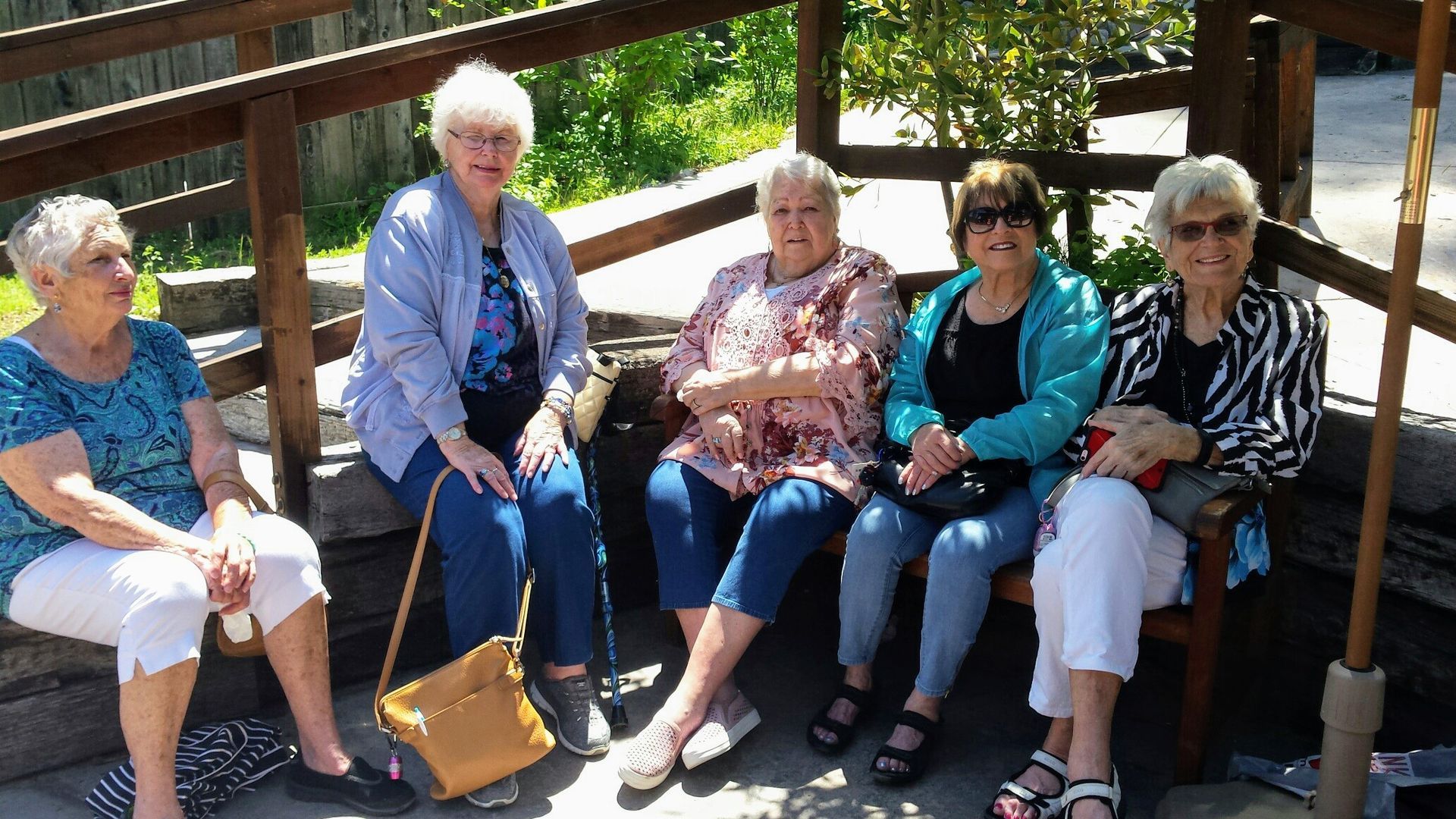 Donna Rae Mauro photos