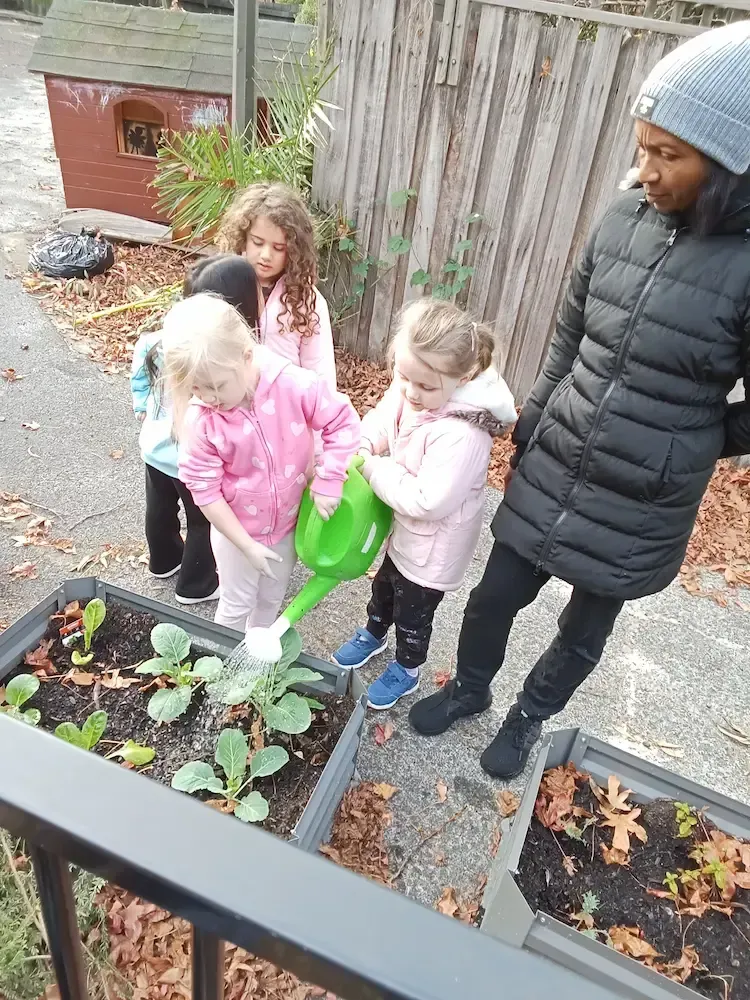 A group of young children at a childcare centre participate in a gardening activity, watering leafy green plants in a raised garden bed with the help of a green watering can.