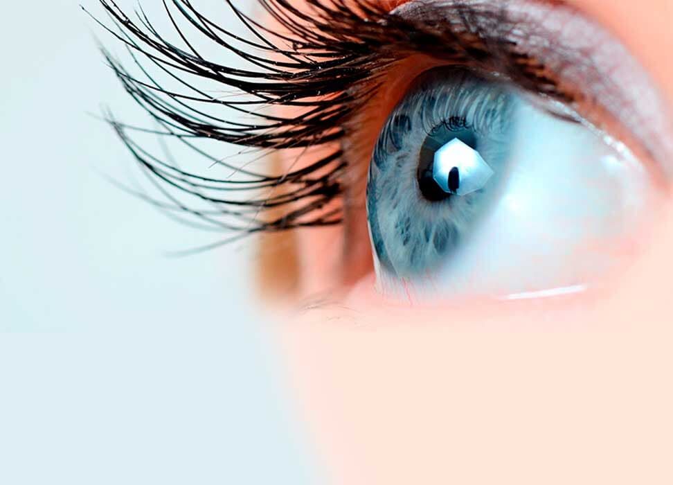 DRA. MARISA FLORES AGUILAR