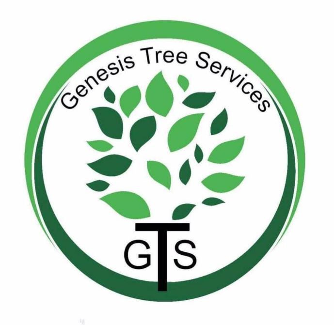 GTS logo | Sacramento, CA | GTS