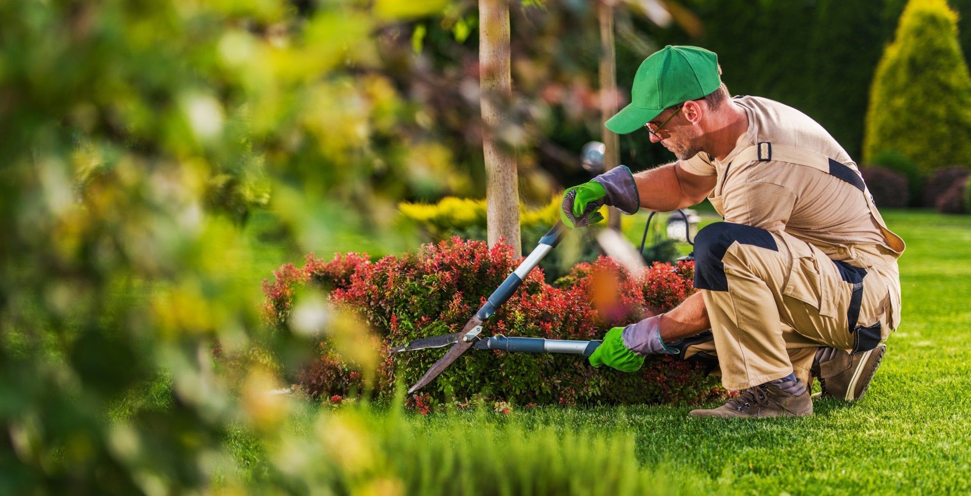 A man is kneeling down in a garden cutting flowers with a pair of scissors.