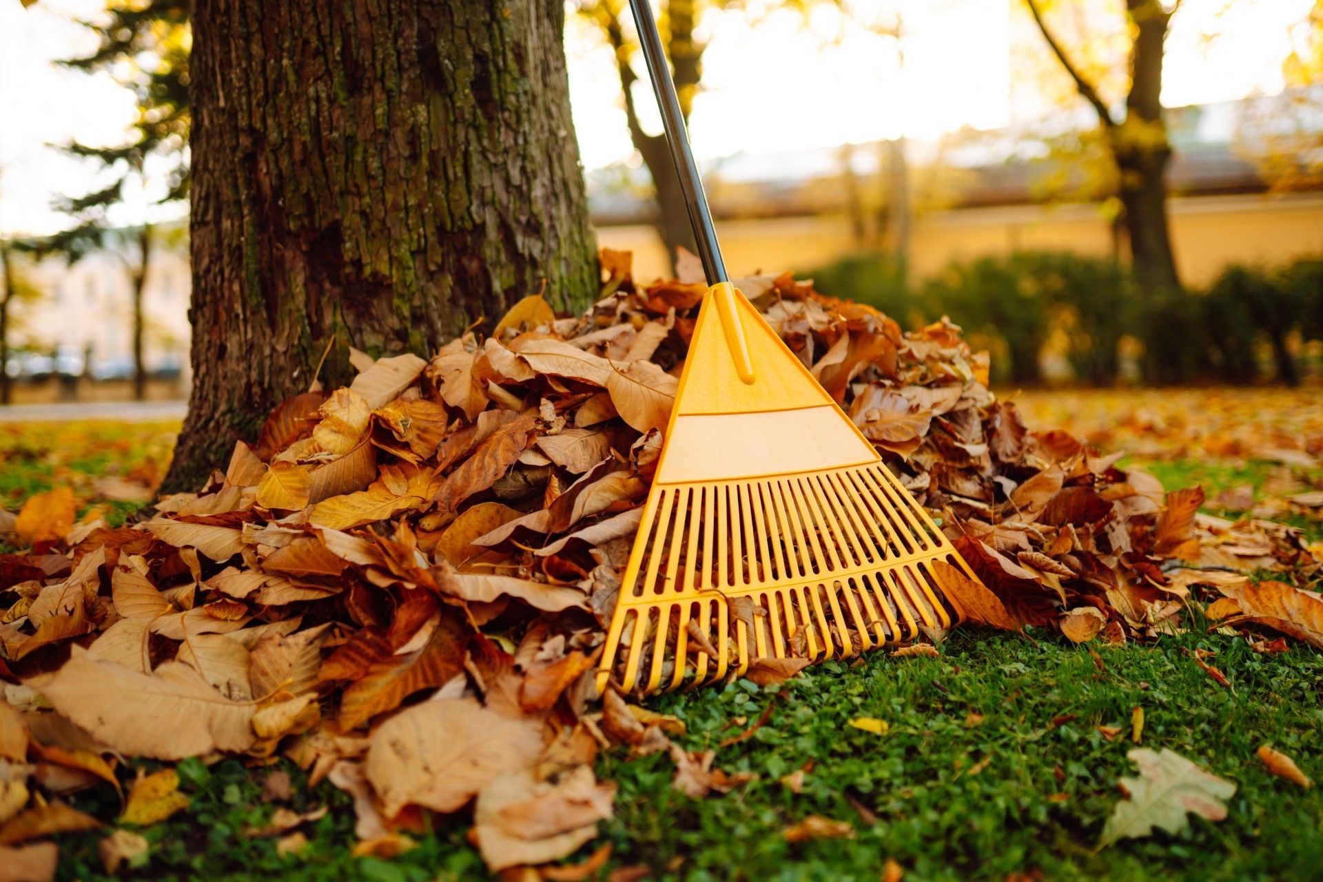 A yellow rake is sitting on top of a pile of leaves.