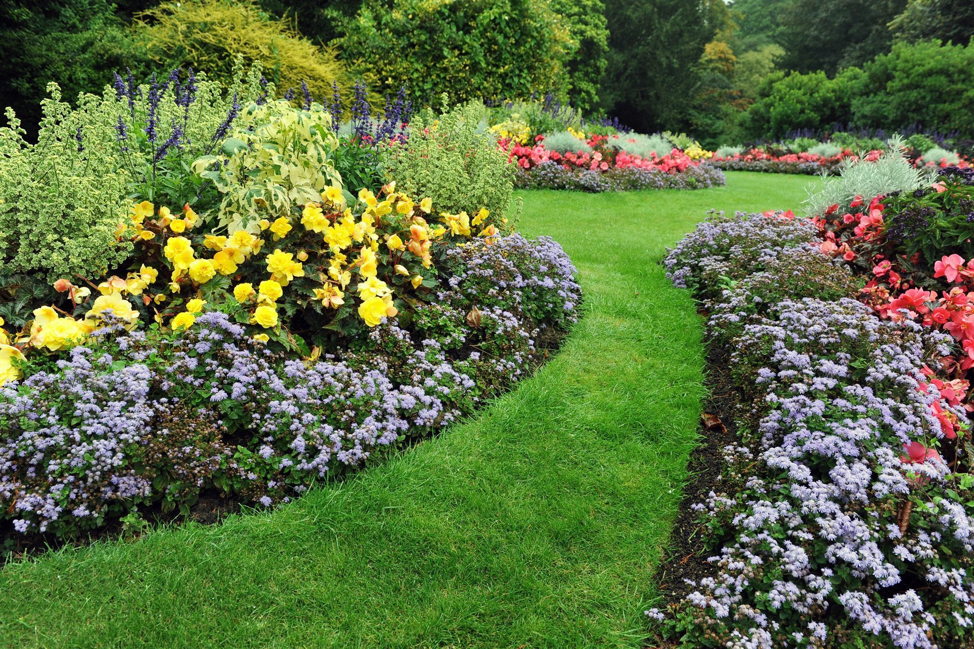 There are many different types of flowers in the garden.