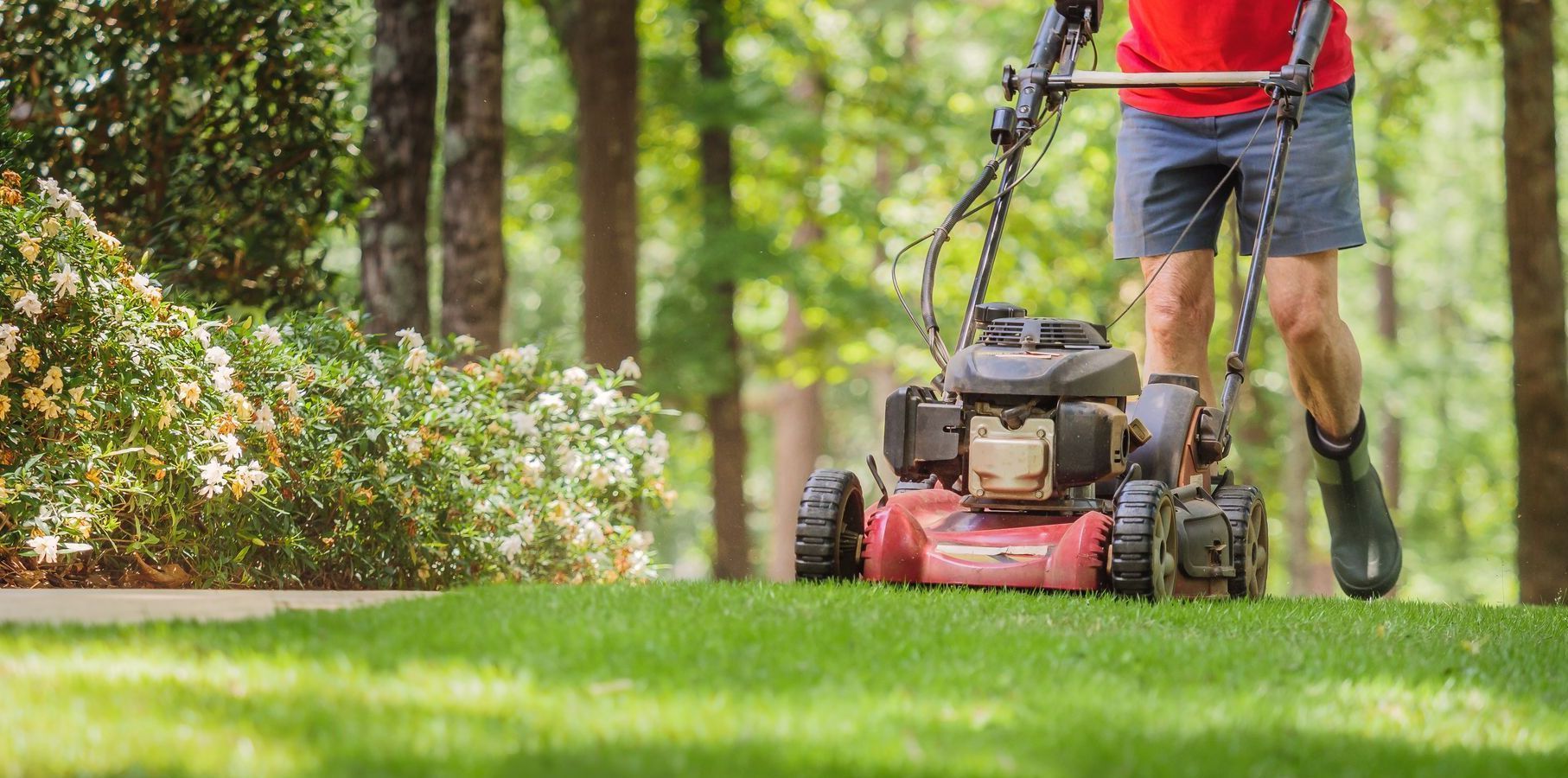 A man is cutting a lush green lawn with a lawn mower.