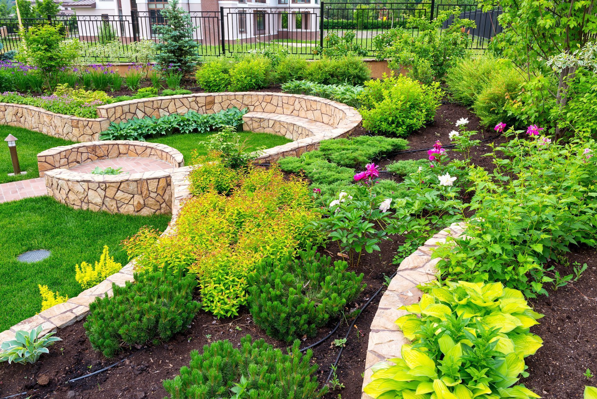 A garden filled with lots of plants and flowers