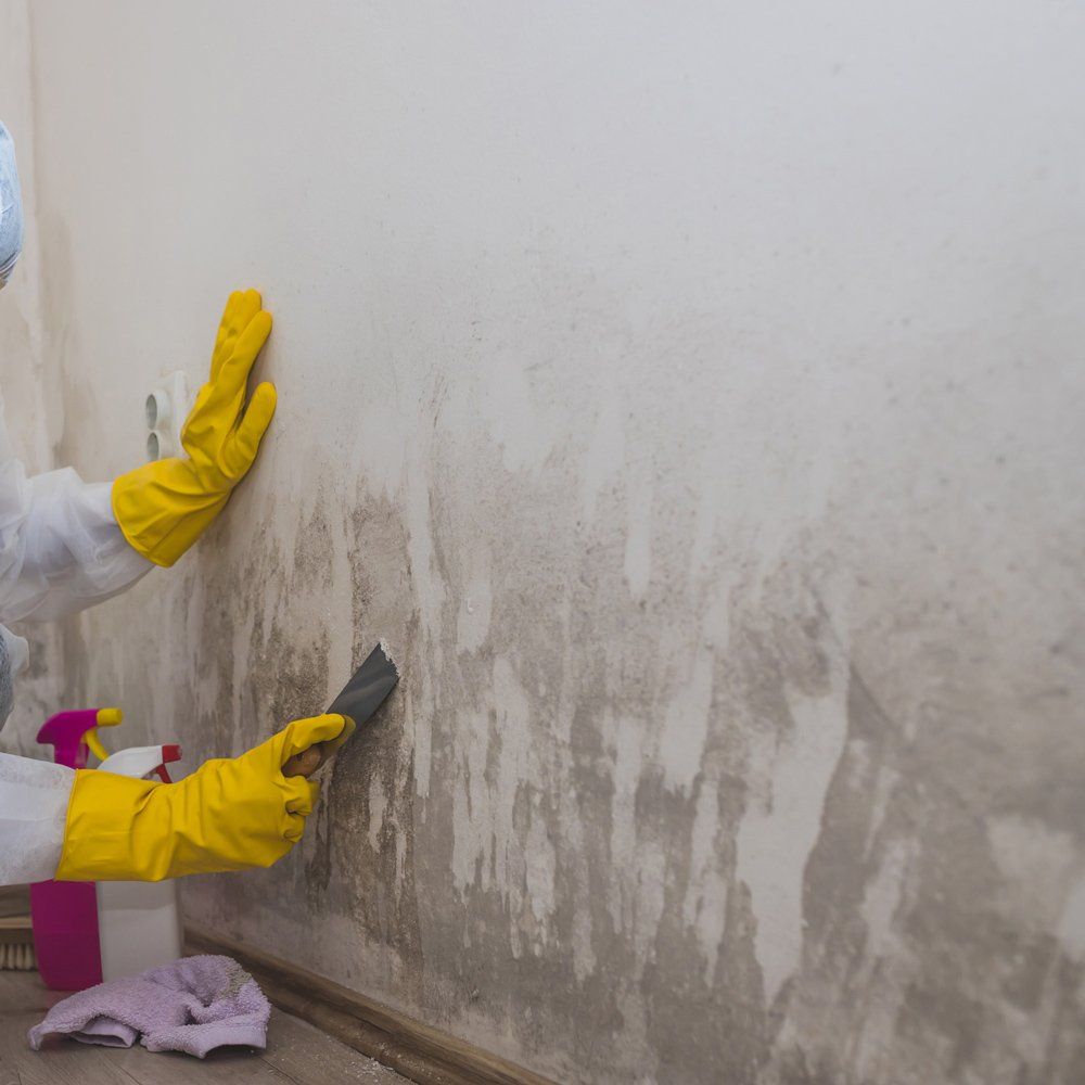 Water Damage — Craig, CO — Great Divide Cleaning Service