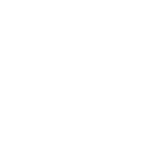 Kingsley Excellence award logo.