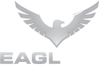 eagle eye large logo