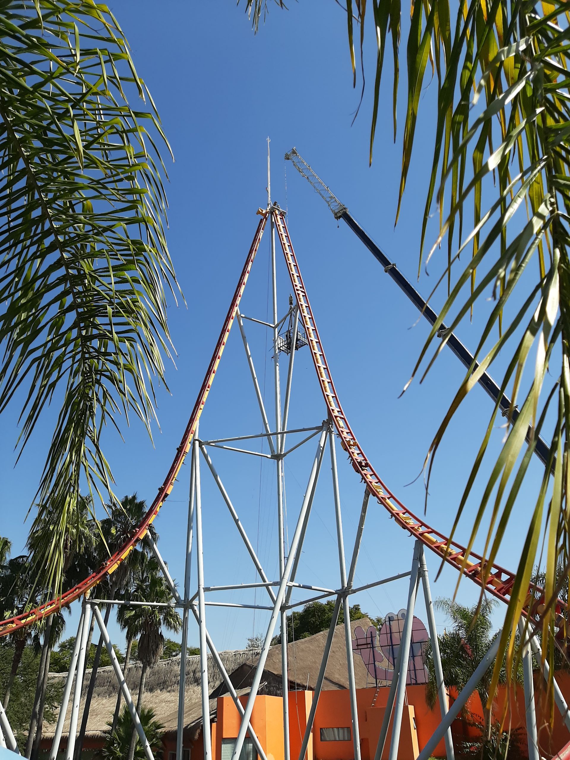 Se está construyendo una montaña rusa con palmeras en primer plano